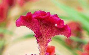 晚安的话语最能打动人心的话语