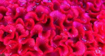 发自己照片的精致句子(精选40句)