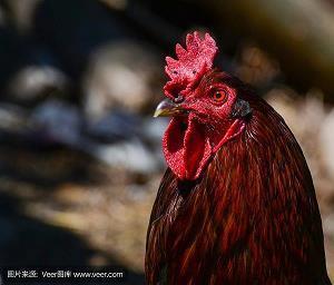 立冬发朋友圈的文案温馨特别 立冬发朋友圈的说说