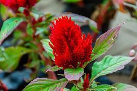 触碰心灵的伤感句子