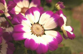 立春创意文案 立春经典语录32句