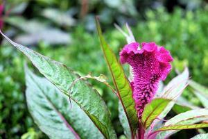 跟男朋友说的调皮情话 写给男朋友的情书短句