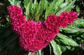 老公去外地不舍的句子