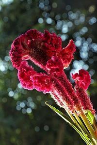 早安正能量简单一句晨语暖心话汇总39句