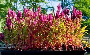 赞美风景的唯美句子 关于风景唯美的句子汇编49句