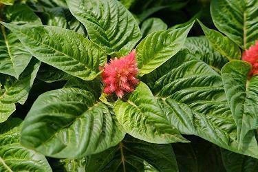 装饰公司广告语大全 装修公司霸气吸引人的广告语创意