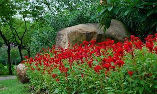 男生必须懂得的爱情句子 分手了，请不要做任何舍不得的行动