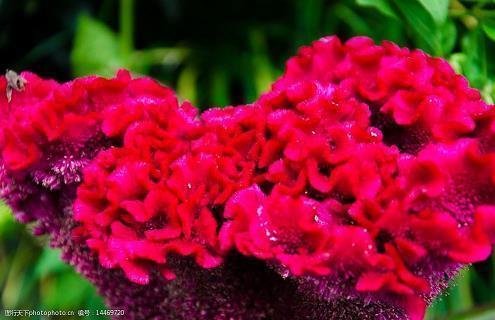 晚上加班正能量朋友圈 晚安励志正能量的句子(精选72句)