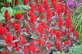 简单晚安短句子一句话 超短晚安句子精选80句