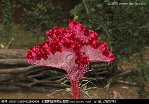 早安语录哲理语句推荐33句