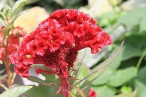 用引经据典怎么造句大全