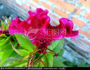 朋友圈晚安心语正能量短句摘录21句