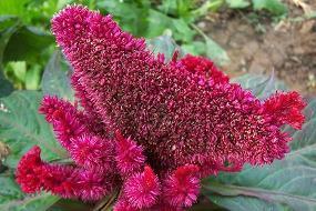 表达心里难受的句子