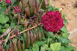 企业管理思维励志句子