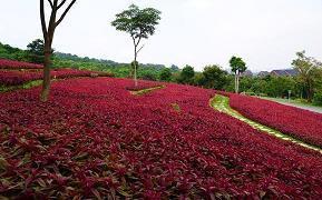 突然有点难过的句子 突然有点小伤感的句子