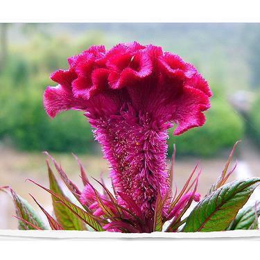 2022新年第一天祝福语简短句子合集125句