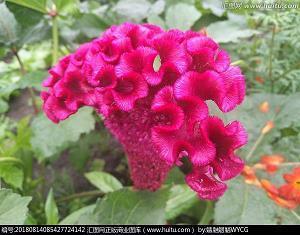 适合晒娃的朋友圈说说文案 朋友圈晒宝宝照片的句子摘录24句