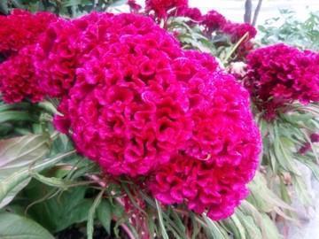 男人对一个人失望的句子说说心情