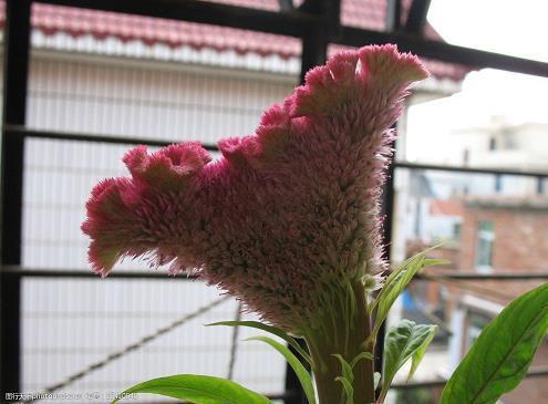 表示心很疼很痛的句子