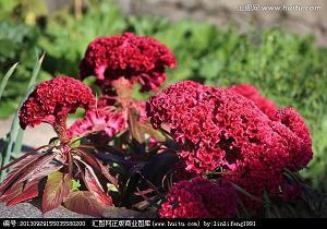 关于中元节的古诗名句