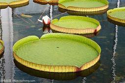 让人觉得生活美好的文案可爱(精选24句)