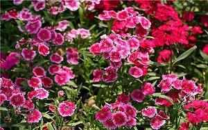 简短高深哲理句子 人生哲理的句子经典(精选80句)