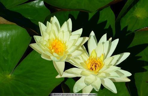 新的一月开始了正能量说说集合27句