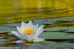 描写路的唯美句子69句