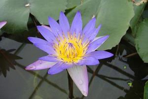 特别无助时发的朋友圈句子 内心痛苦煎熬的句子(精选35句)