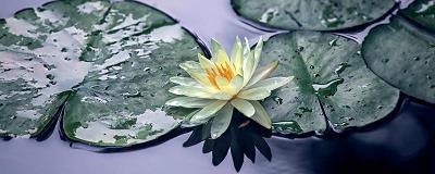 表白的句子给女朋友