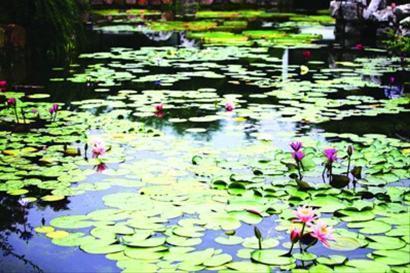 早安正能量简单一句暖心话合集39句