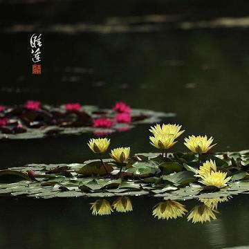 毕业季唯美的句子80句