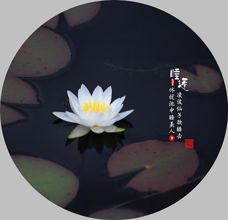 月光唯美的句子