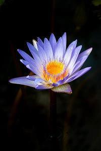 时间的句子20字(精选116句)