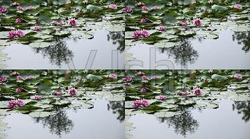 生活疲惫无助累的句子 感觉无助心累的句子97句