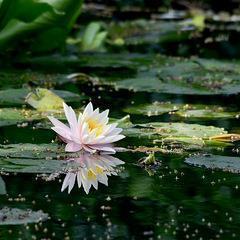 2021很虐心伤感难过句子15句