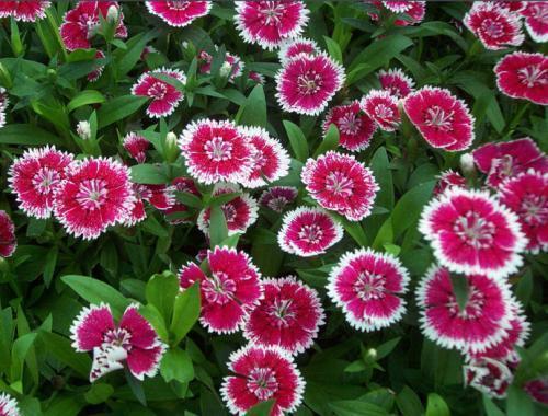 放假了好开心的句子