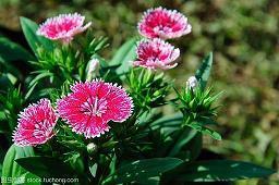 进入老年人的生活状态发朋友圈