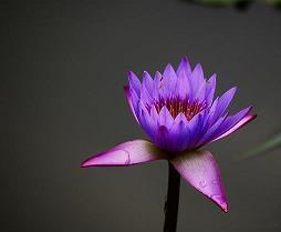 让人心生喜悦句子合集43句