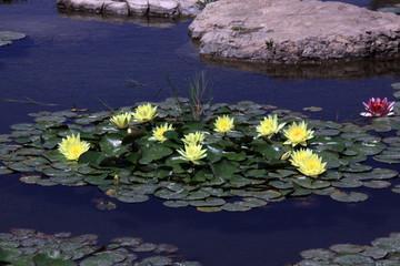 最撩人的晚安情话 睡前给自己的一句话汇编80句