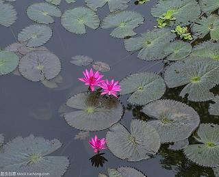 早安心语优美的语句 四月你好早安唯美句子汇编75句