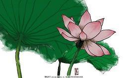 激励上进正能量的句子50句