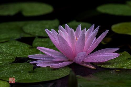 诗和远方意境的句子