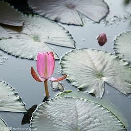 男人心烦的句子说说