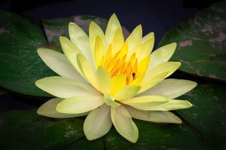 毕业说说文案大全 毕业朋友圈短句汇总32句
