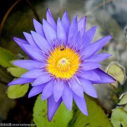 明天又是美好的一天的说说收集23句