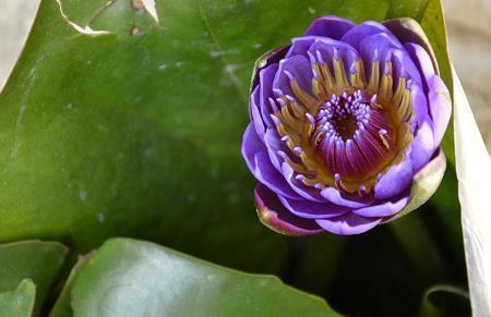 童年好词好句(精选72句)