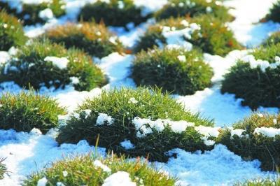 文艺范唯美的句子 回忆本来是非常美好的