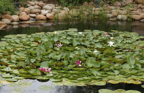 秋分谚语诗句 秋分节气朋友圈文案(精选59句)