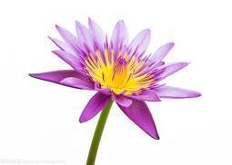 表达失落心烦的句子说说心情短语